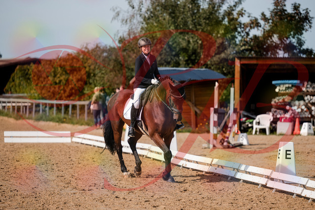 2026_10_03_Siefer-Hof_122715_Z63_48257081 | Professionelle Reitsport-, Turnier- und Eventfotografie von Robert Broda. Galerien mit ausgewählten und bearbeiteten Bildern direkt online ansehen und bestellen.