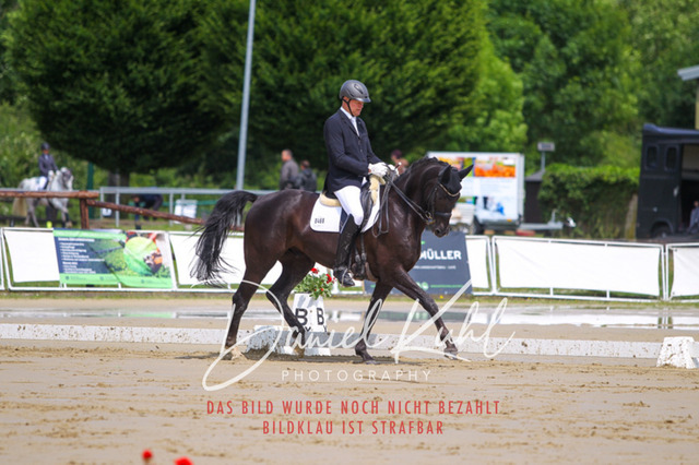 DKP40710 | Turniersportfotografie; Pferdefotografie; Dressurfotografie