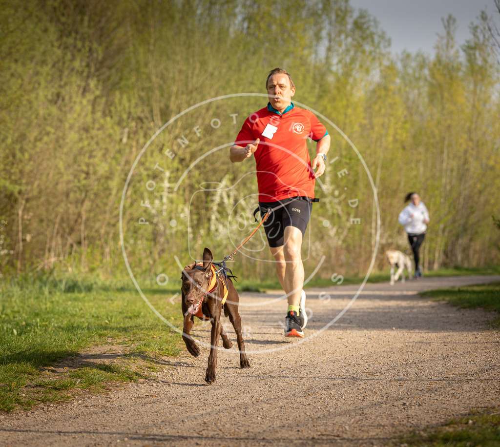 Pfotenfotografie_DV3A4540 | Hundefotografie, Tierfotograf, Pfotenfotografie, Fotoshooting Hund, Hunde Portrait, Hundesport, Hundeportraits, Heideshooting, Hunde, Sportfotograf, Hundefotograf, Turnierhundsport, THS,  - Realisiert mit Pictrs.com