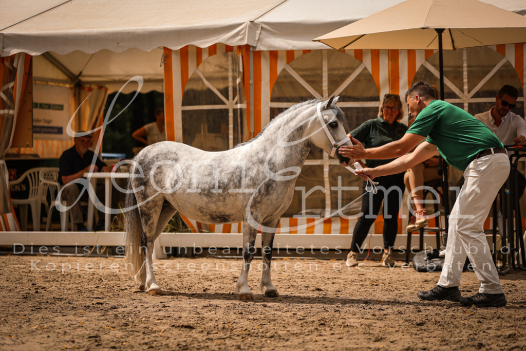 04.So00037 | Leoni Ertmer Photography - Realisiert mit Pictrs.com