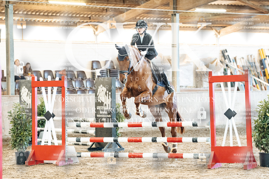 CK904087 | Turnierfotografie Pferdefotografie Trier Rheinland-Pfalz Pferdesport Reitsport Tierfotografie Sportfotografie Pferdevideo Pferdevideografie Equestrianvideography equestrianphotography  - Realisiert mit Pictrs.com