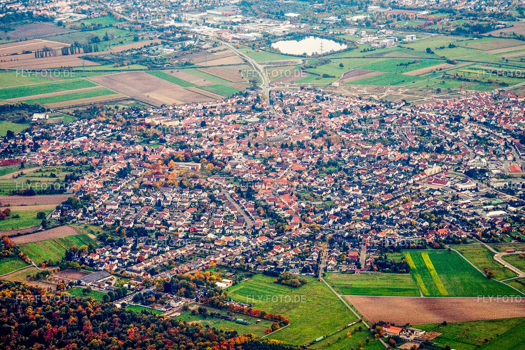 Ort von Norden | Luftbild: Ort von Norden in Forst im Bundesland Baden-Württemberg in Deutschland. Foto: IMG_14163.jpg vom 12.10.2008 durch Werner Riehm/FLY-FOTO.de - Realisiert mit Pictrs.com