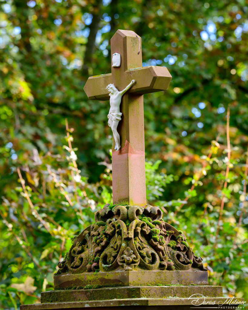 Der alte Hauptfriedhof in Mainz | Der alte Hauptfriedhof in Mainz