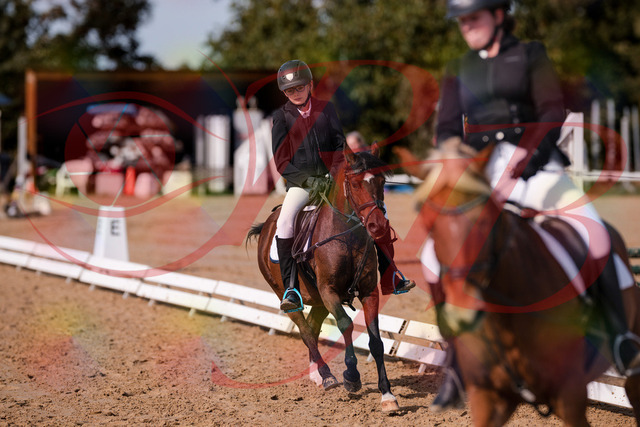 2026_10_03_Siefer-Hof_122452_Z81_25464687 | Professionelle Reitsport-, Turnier- und Eventfotografie von Robert Broda. Galerien mit ausgewählten und bearbeiteten Bildern direkt online ansehen und bestellen.