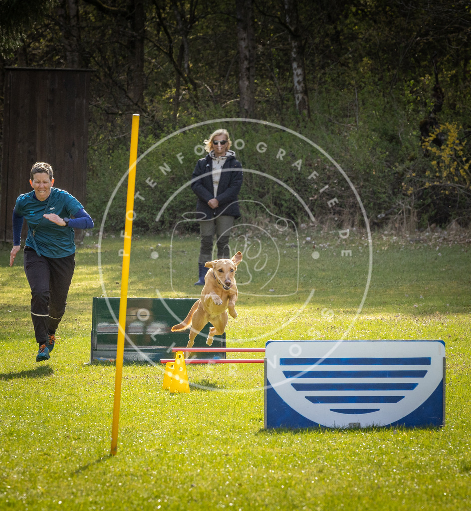 Pfotenfotografie_DV3A2732 | Hundefotografie, Tierfotograf, Pfotenfotografie, Fotoshooting Hund, Hunde Portrait, Hundesport, Hundeportraits, Heideshooting, Hunde, Sportfotograf, Hundefotograf, Turnierhundsport, THS,  - Realisiert mit Pictrs.com