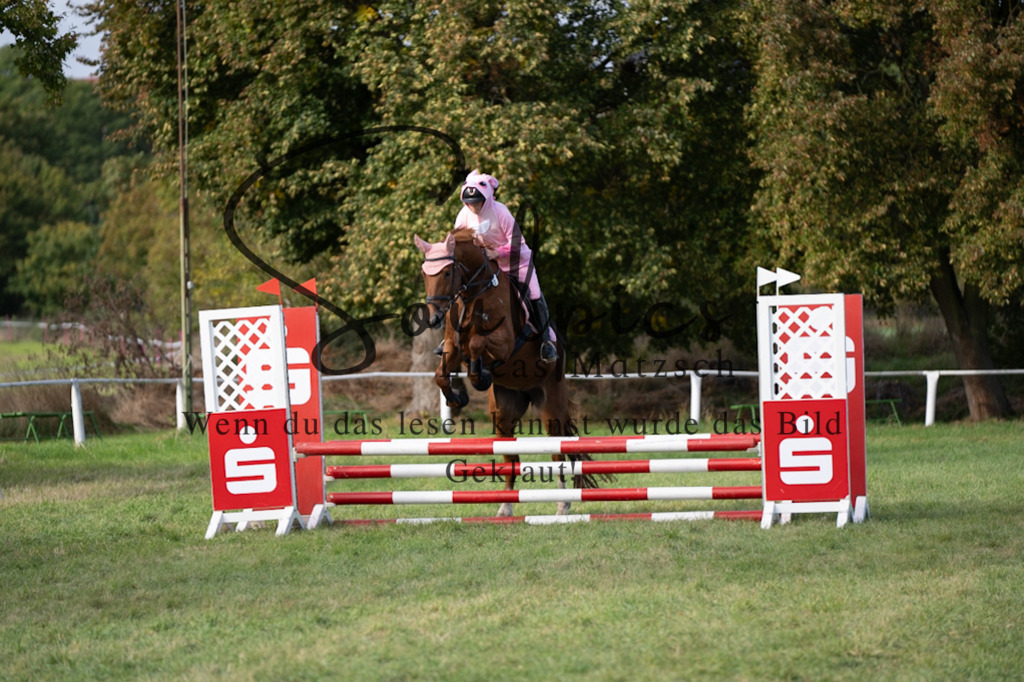 A7V06502 | Pferdefotograf