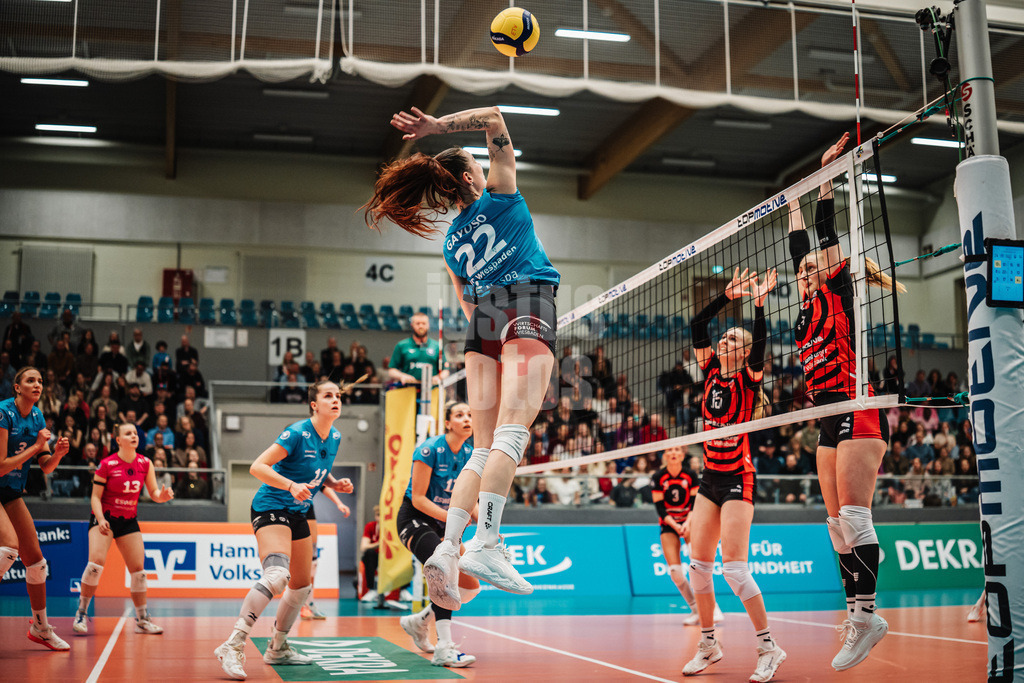 Volleyball | Frauen | Saison 2025/2026 | Volleyball Bundesliga | ETV Hamburger Volksbank Volleys vs. VC Wiesbaden | 14.03.2026 | Jimena Fernandez Gayoso (#22, VC Wiesbaden) beim Angriff