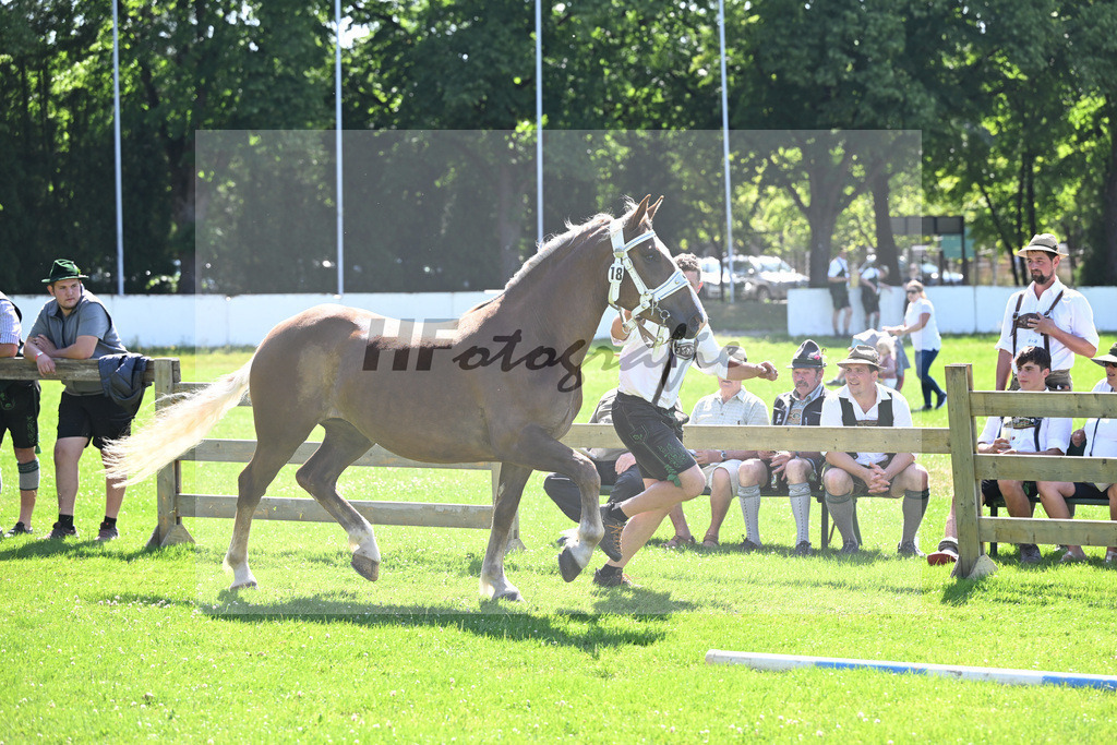 Kat-Nr. 18 Pauline v. Sir_Kotz_18250307 | hf-fotografie - Realizzato con Pictrs.com