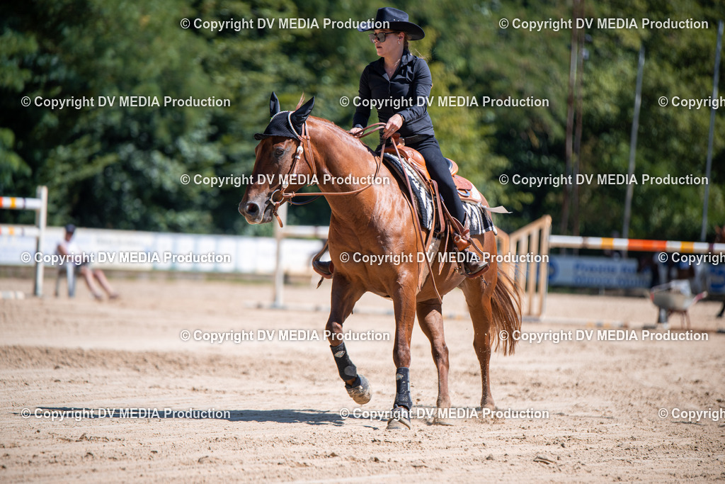 ZS1_1041 | dv-media-shop - Realisiert mit Pictrs.com