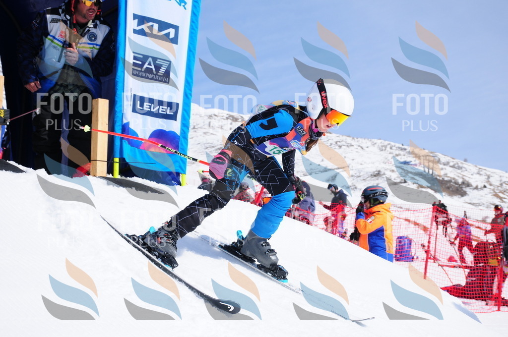 DSC_1353 | holidayphoto