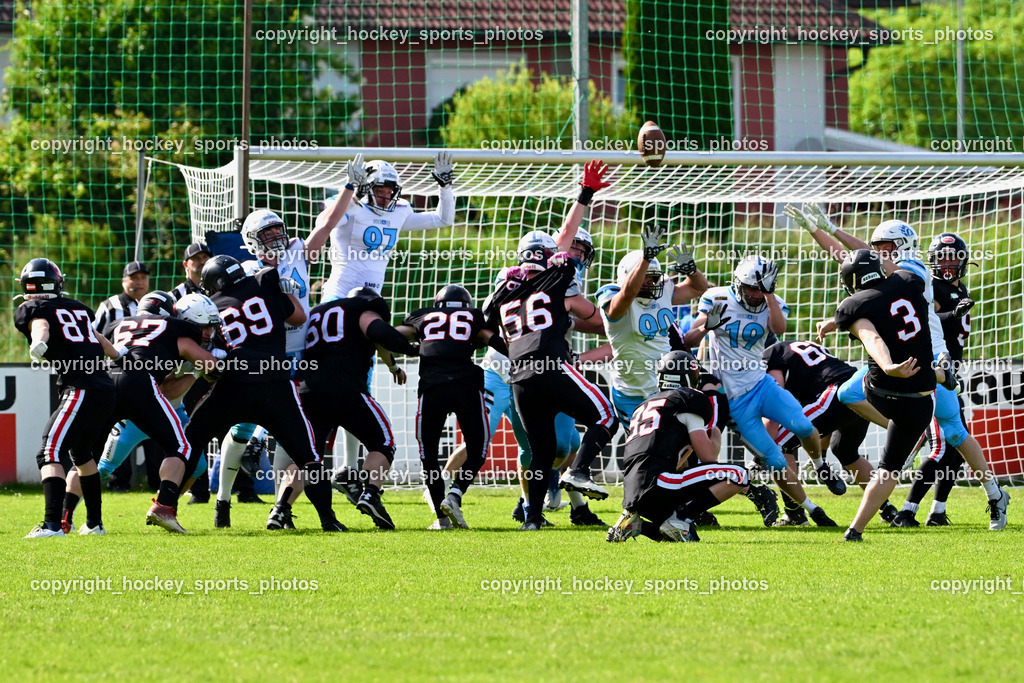 Carinthian Lions vs. Styrian Bears | Carinthian Lions vs. Styrian Bears, Carinthian Lions vs. Styrian Bears am 20.05.2024 in Klagenfurt (ASV Sportplatz), Austria, (Photo by Bernd Stefan)