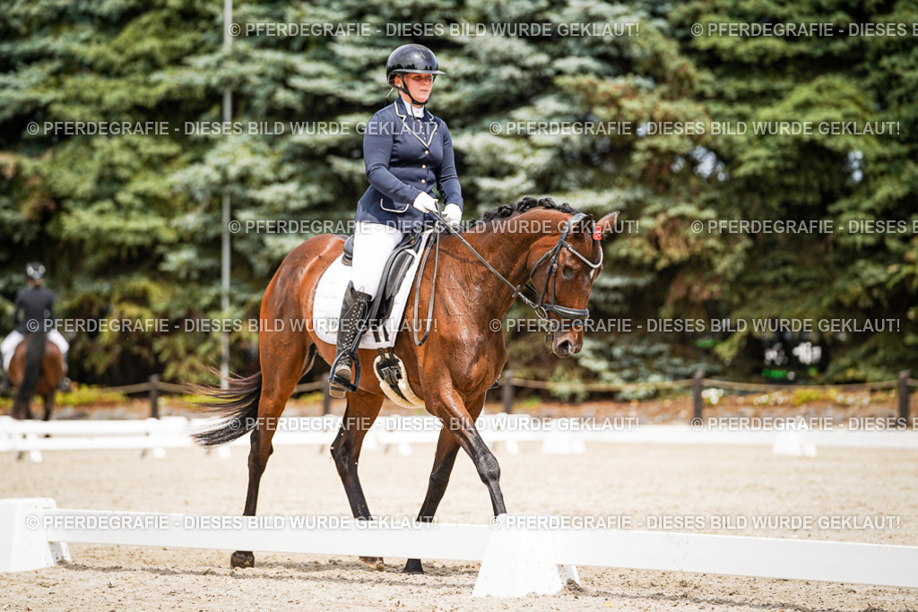 DSC04018 | Pferdegrafie