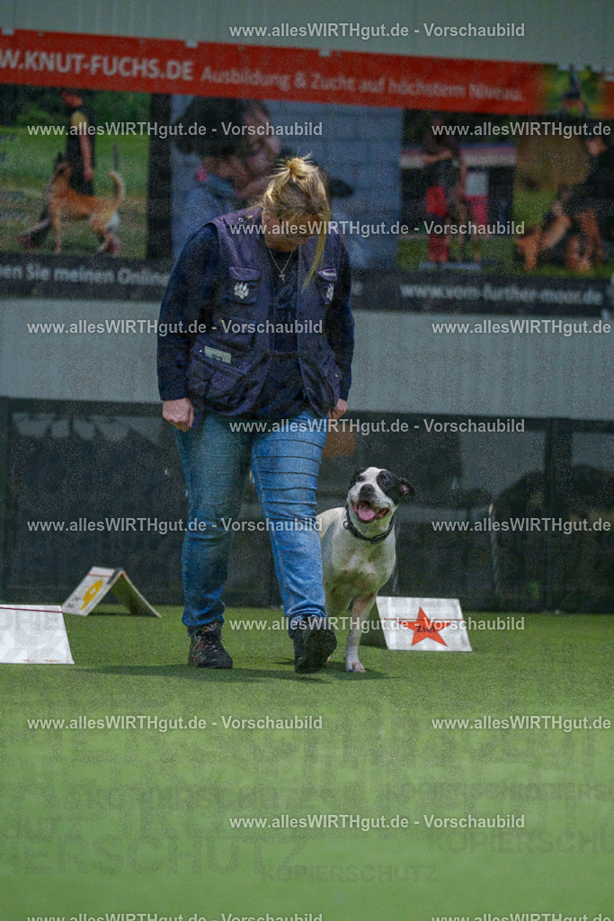 7R507789 | Professionelle Tierfotografie in Mönchengladbach von Daniel Wirth (allesWIRTHgut). Liebevolle & natürliche Bilder von Hunden & Katzen für unvergessliche Erinnerungen.