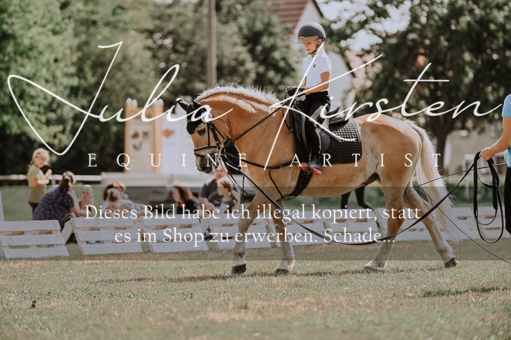 DSC_7743 | Pferde- und Turnierfotografie in Westsachsen. Pferdeportraits, Auftragszeichnungen und intuitive Kunst.