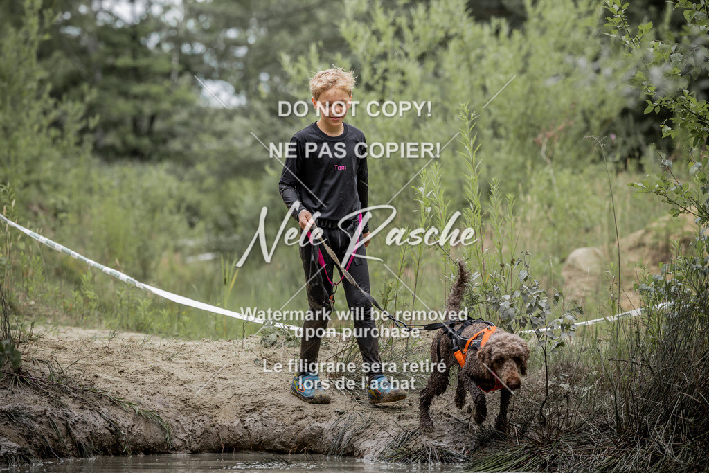 nelerasche_so1515-1530_302 | nelerasche