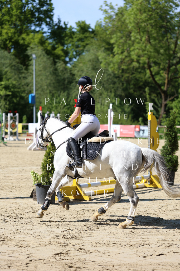 IMGS4603 | pl-fotografie