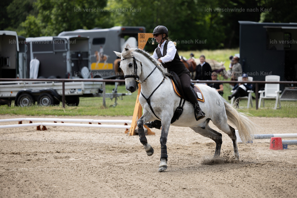 Masterclass_stoibphotography_C2_C8053.CR3 | working equitationturnier fotograf videograf stoibphotography marixx film working equitation deutschland reitsport turnierfotografie eventfotografie equestrian events