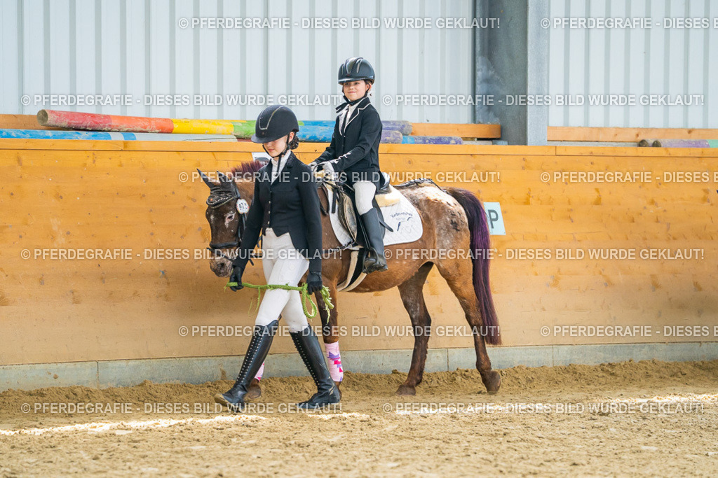 DSC00474 | Pferdegrafie