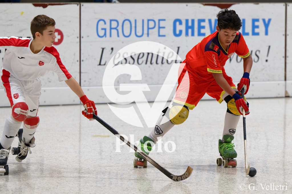 DSC_2290 | Velletri Photo