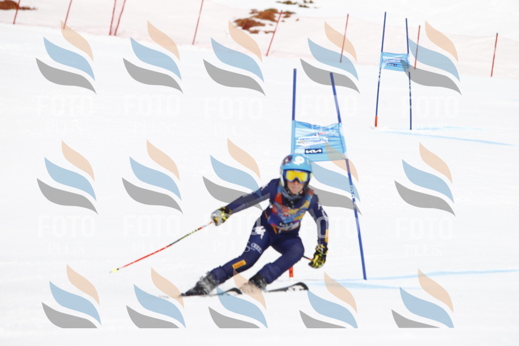 _U3G5903 | holidayphoto