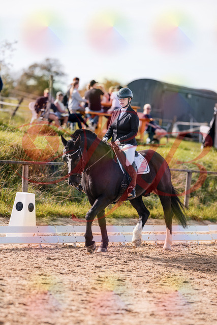 2026_10_03_Siefer-Hof_131531_Z81_63998540 | Professionelle Reitsport-, Turnier- und Eventfotografie von Robert Broda. Galerien mit ausgewählten und bearbeiteten Bildern direkt online ansehen und bestellen.