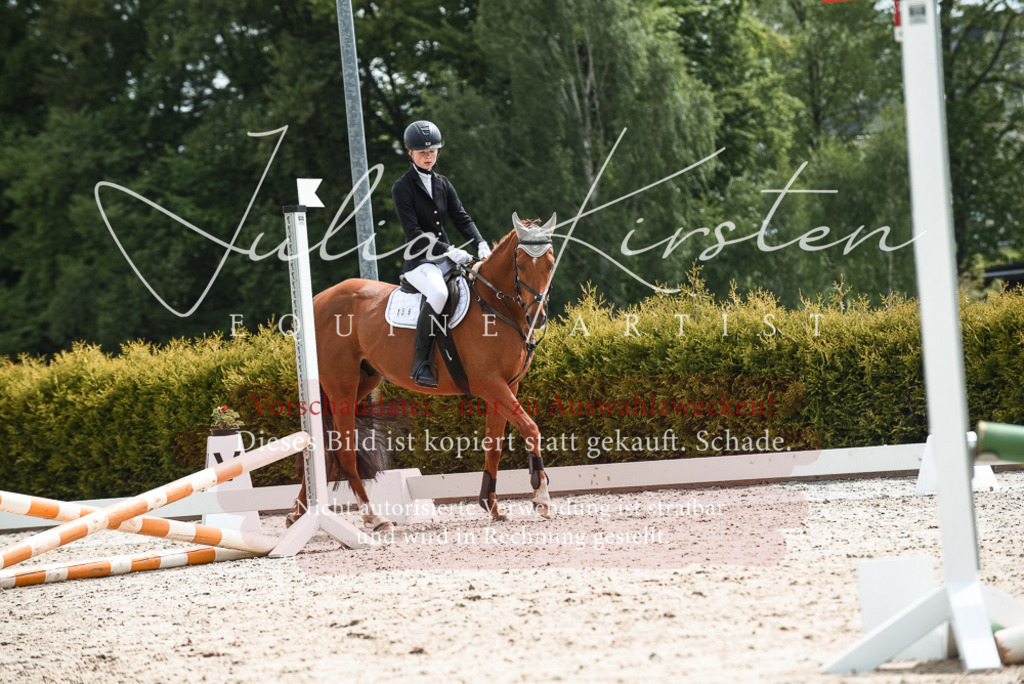 20230518_JK-Röhrsdorf-10-130 | Pferde- und Turnierfotografie in Westsachsen. Pferdeportraits, Auftragszeichnungen und intuitive Kunst.