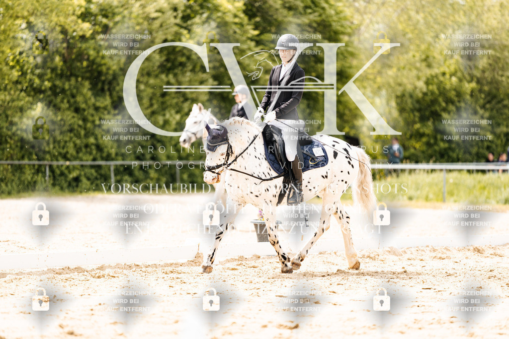 CK902325 | Turnierfotografie Pferdefotografie Trier Rheinland-Pfalz Pferdesport Reitsport Tierfotografie Sportfotografie Pferdevideo Pferdevideografie Equestrianvideography equestrianphotography  - Realisiert mit Pictrs.com