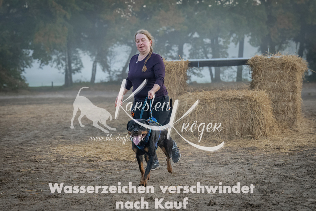 0819_ZZ97769 | kk-dogfotos