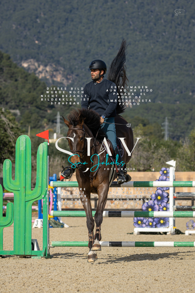 IMG_6847 | s-jay-photography - Realisiert mit Pictrs.com