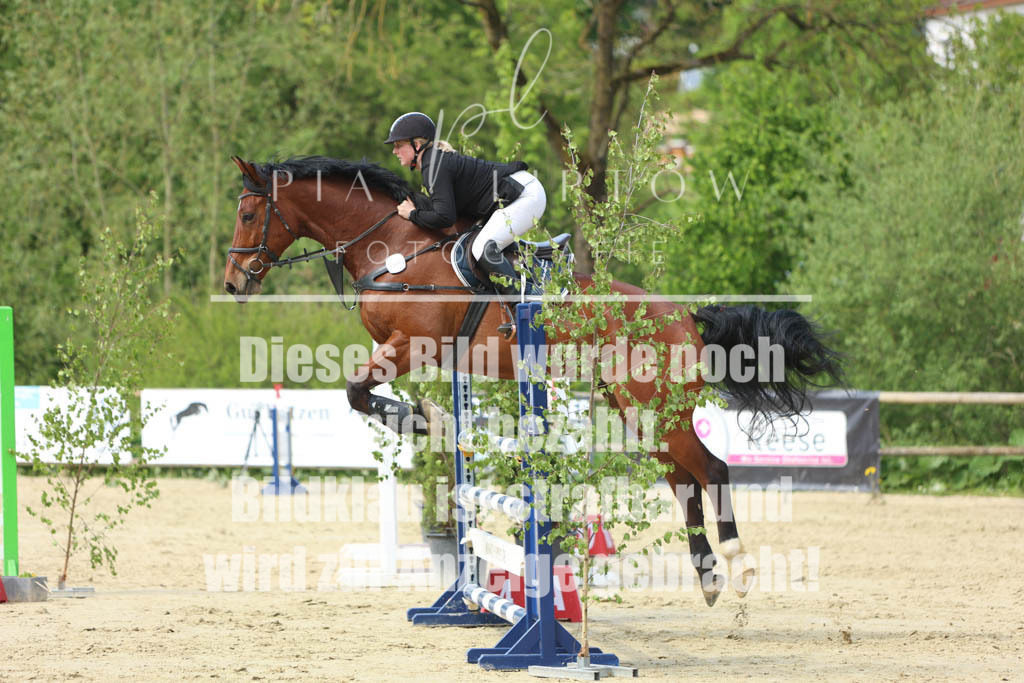 IMGM5862 | pl-fotografie