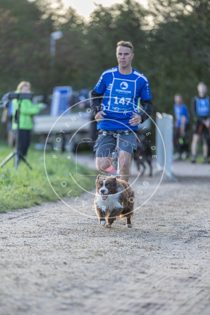 Pfotenfotografie.de_DV3A2770 | Hundefotografie, Tierfotograf, Pfotenfotografie, Fotoshooting Hund, Hunde Portrait, Hundesport, Hundeportraits, Heideshooting, Hunde, Sportfotograf, Hundefotograf, Turnierhundsport, THS, canicross - Realisiert mit Pictrs.com