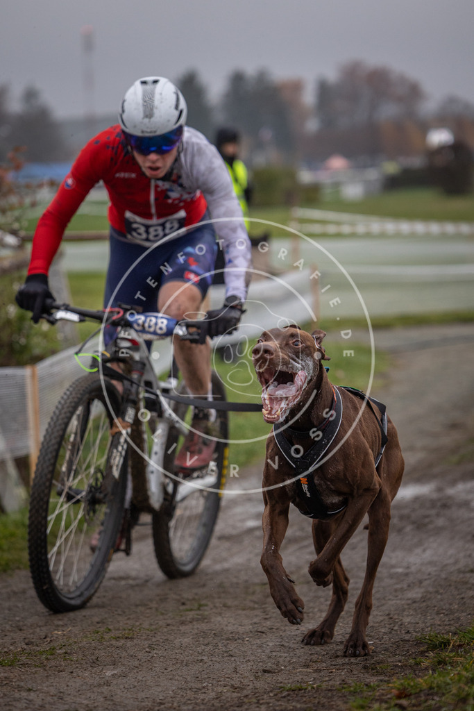CaniXpix_0L8A1014 | Hundefotografie, Tierfotograf, Pfotenfotografie, Fotoshooting Hund, Hunde Portrait, Hundesport, Hundeportraits, Heideshooting, Hunde, Sportfotograf, Hundefotograf, Turnierhundsport, THS,  - Realisiert mit Pictrs.com
