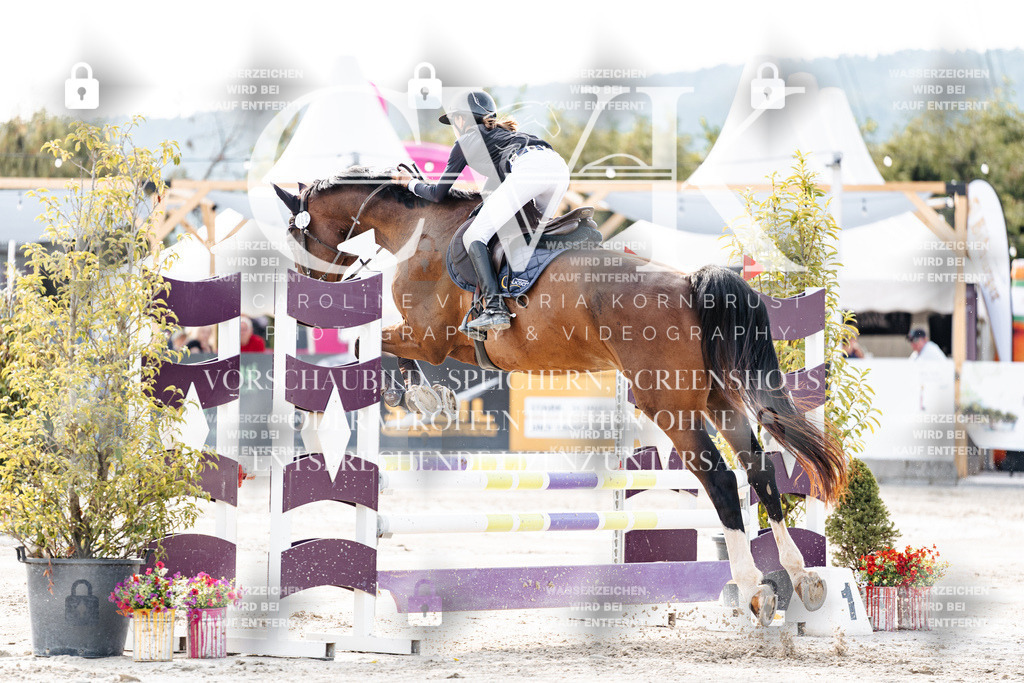 CK906367 | Turnierfotografie Pferdefotografie Trier Rheinland-Pfalz Pferdesport Reitsport Tierfotografie Sportfotografie Pferdevideo Pferdevideografie Equestrianvideography equestrianphotography  - Realisiert mit Pictrs.com
