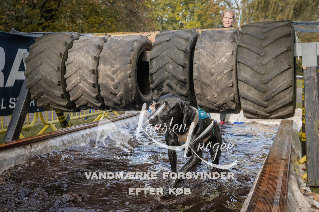 1422_ZZ94372 | kk-dogfotos