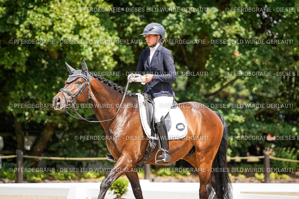 DSC01499 | Pferdegrafie