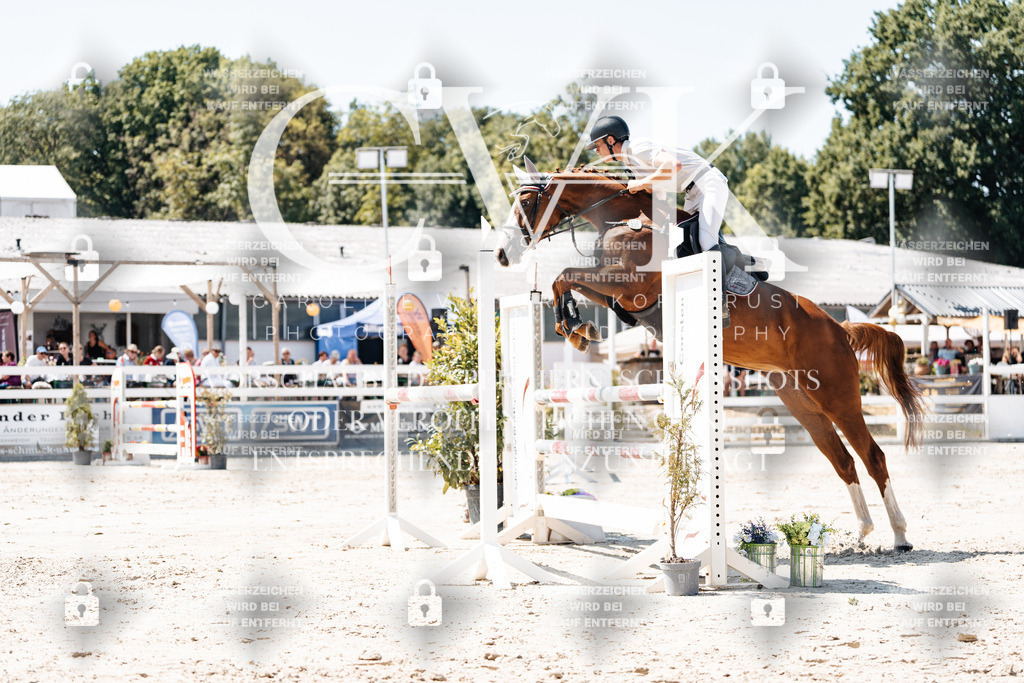 CK900097 | Turnierfotografie Pferdefotografie Trier Rheinland-Pfalz Pferdesport Reitsport Tierfotografie Sportfotografie Pferdevideo Pferdevideografie Equestrianvideography equestrianphotography  - Realisiert mit Pictrs.com