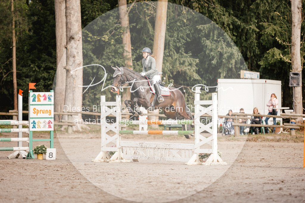 3I6A3322 | Stimmungsvolle Portraits und Reitsportfotografie im Ruhrgebiet und im Münsterland.

Pferdefotografie, Hundefotografie, Tierfotografie, Reportagen, Portraits von Tier und Mensch, Turnierfotografie in Bochum, Recklinghausen, Marl, Haltern am See, Dülmen.. - Realisiert mit Pictrs.com