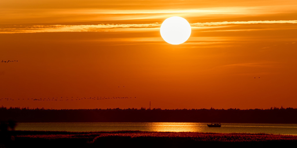 Sonnenuntergang Bodden II | kleinen-fotografie