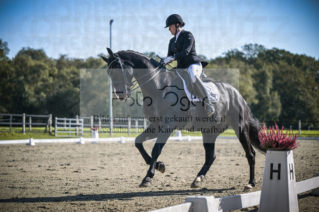 DOS_2230 | Entdecke hochwertige Reitturnierfotos von Foto Oger. Professionell, emotional und authentisch – jetzt Lieblingsmomente im Shop bestellen.Deutschlandweite Turnierfotografie. - Realisiert mit Pictrs.com