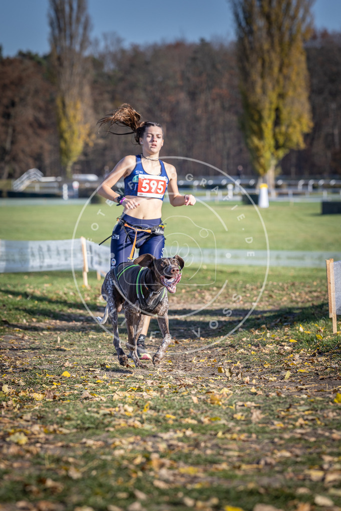 CaniXpix_DV3A9358 | Hundefotografie, Tierfotograf, Pfotenfotografie, Fotoshooting Hund, Hunde Portrait, Hundesport, Hundeportraits, Heideshooting, Hunde, Sportfotograf, Hundefotograf, Turnierhundsport, THS,  - Realisiert mit Pictrs.com
