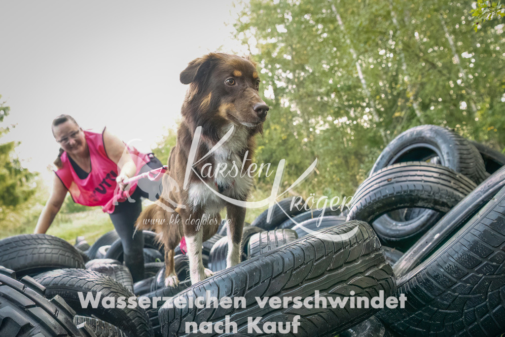 1034_ZZ94864-Bearbeitet-2 | kk-dogfotos