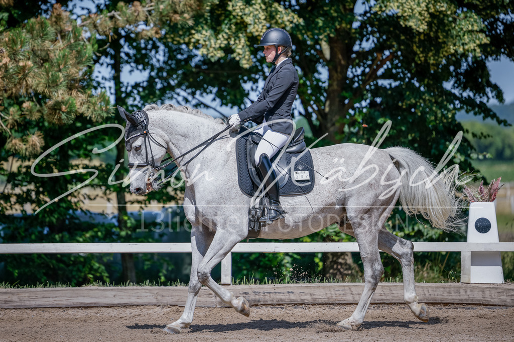 20250621-_3LI9182 | Tierfotografie Pferde, Hunde, Katzen, Haustiere.
Turnierfotografie Reitturniere, Reiten, Springreiten, Dressur in Hanau, dem Main-Kinzig-Kreis und dem Rhein-Main- Gebiet um Frankfurt