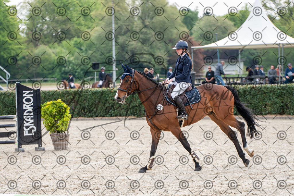 KPT_2133 | andre_photographic