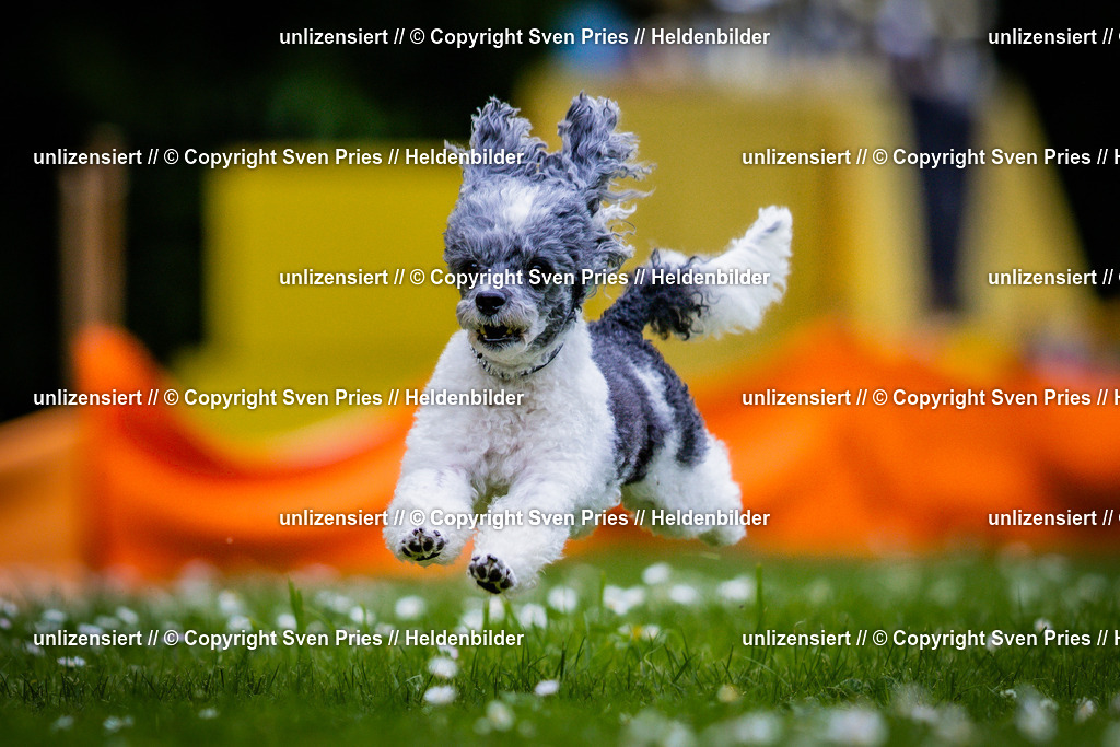 Sven Pries | 2025-05-29 - Pudelrennen KA-Durlach - Realisiert mit Pictrs.com