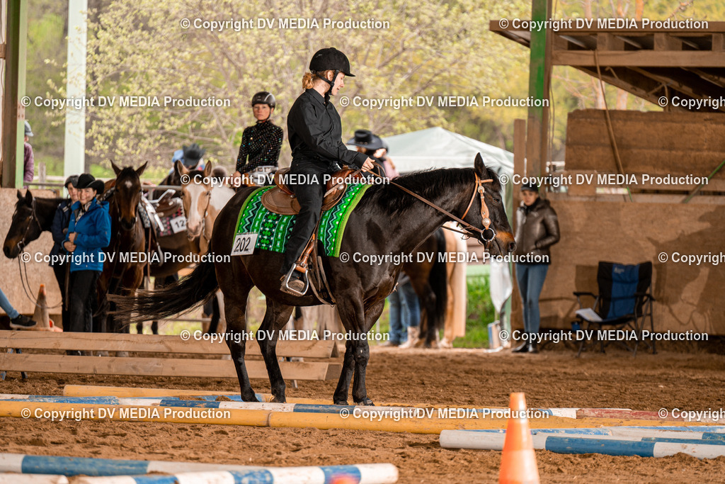 BA300587 | dv-media-shop - Realisiert mit Pictrs.com