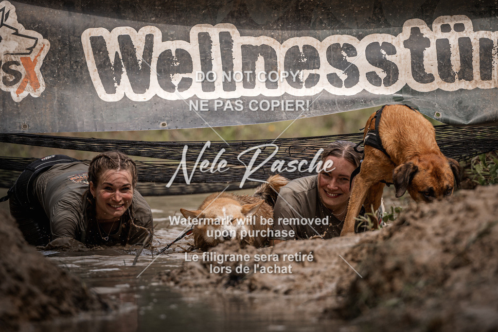 nelerasche_Hoope2026_Sa1100-1130_496 | nelerasche