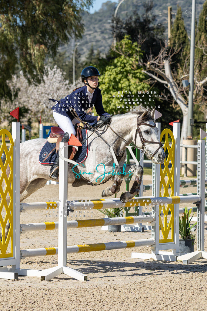 IMG_9765 | s-jay-photography - Realisiert mit Pictrs.com