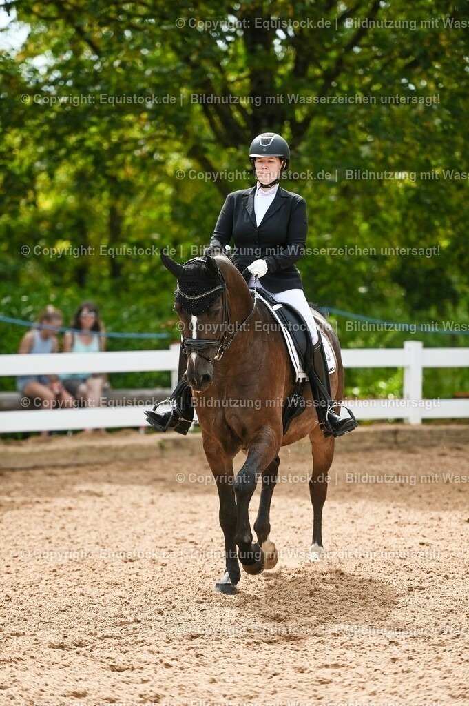 20230715_07_Dressurpferdeprfg. Kl.L_0110 | equistock
