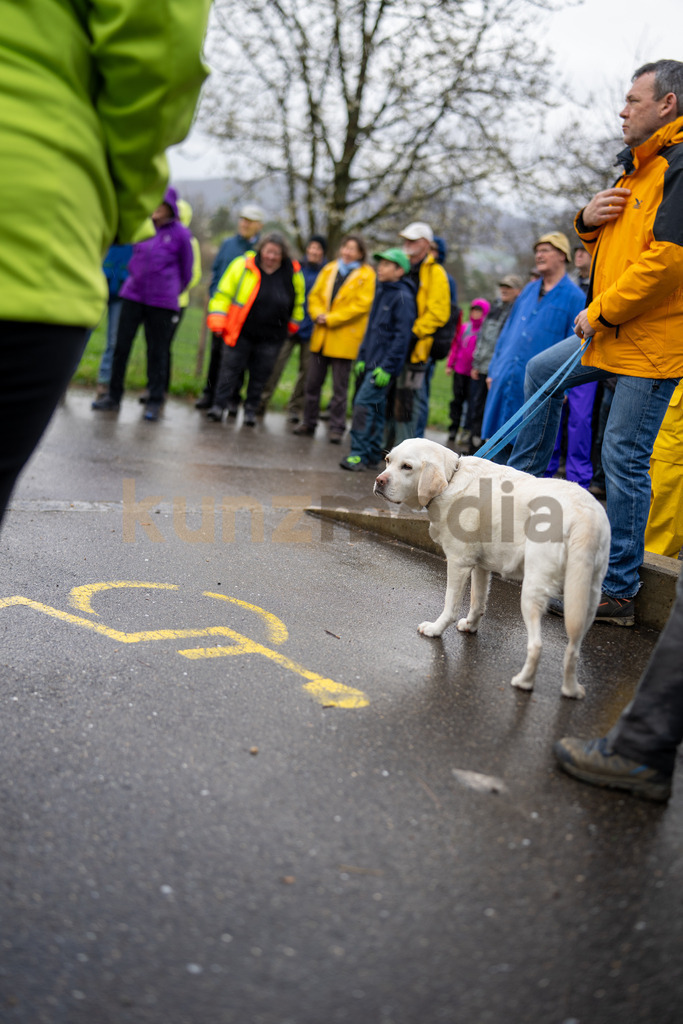 026_Waldputzete Reinacher Wald_kunzmedia.ch | OnlineShop für Bilder kunzmedia.ch