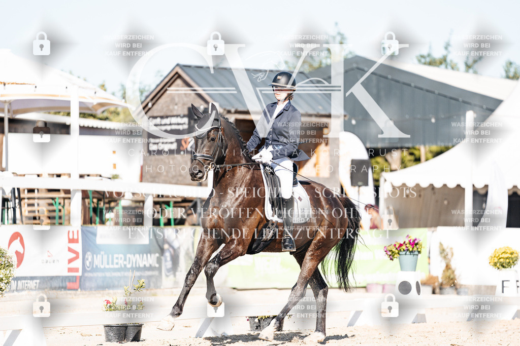 CK907832 | Turnierfotografie Pferdefotografie Trier Rheinland-Pfalz Pferdesport Reitsport Tierfotografie Sportfotografie Pferdevideo Pferdevideografie Equestrianvideography equestrianphotography  - Realisiert mit Pictrs.com